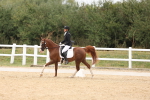 SBM_02077