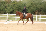 SBM_00543