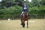 Dressage - Two Grass Arenas - one camera. portfolio