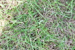 SBM_03937