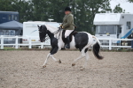 SBM_20463
