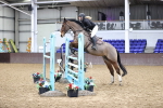 Class 17 - Senior Foxhunter - 1.20m Open portfolio