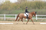 SBM_006762