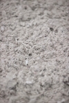 SBM_002975