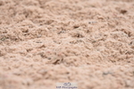 230702A-120134-09002