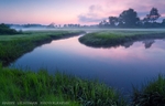 Spring on the Marsh