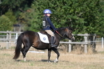 Class 30 Dressage Intro 1 portfolio