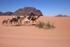 Wadi Rum 51