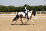 SBM_004147