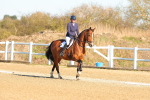 SBM_003443