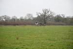 WJ6_1289