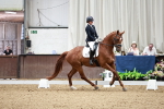 SBM_001001