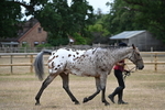 WJ6_7822