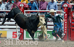 _DSC7084