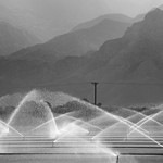 Mono American Sprinklers