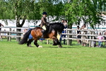 SBM_09361