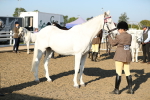 SBM_00046