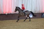SBM_005041
