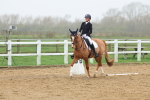 SBM_002846