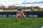 281224-Race 5-Poetry Man-4818