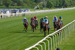 230526-Race 6-Pearl River-0591
