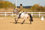 SBM_008720