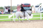 SBM_03387