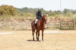 SBM_003581