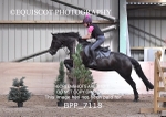 BPP_7118