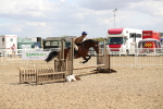 SBM_04215