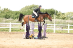 SBM_003413