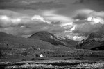 20120531-_MG_0154-1162