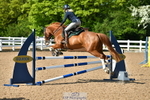 Cls 1 British Novice & 90cm Open portfolio