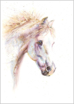 White Horse Fine Art Print 638