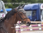 BPP_3942