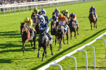 141023-Race 5-Certain Lad-1339