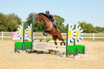 SBM_006681