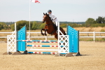 SBM_003338