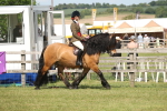 SBM_07669