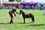 SBM_03598