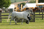 SBM_00737