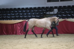 SBM_06521