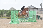 CLASS 1 Clear Round Show Jumping portfolio