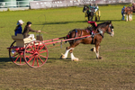 Harness Driving Challenge 25. 0A3A9737