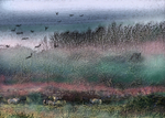P8 Winter Landscape  7 x 5