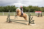 SBM_002931