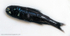 IDD010: Lanternfish
