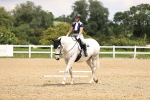 SBM_001336