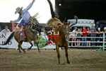 3HRodeo8-5-24_CFD_3HR-YUMA- 3174_