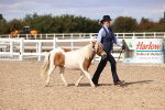 SBM_14238